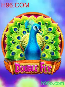 Explorando o Mundo Empolgante de DoubleFly